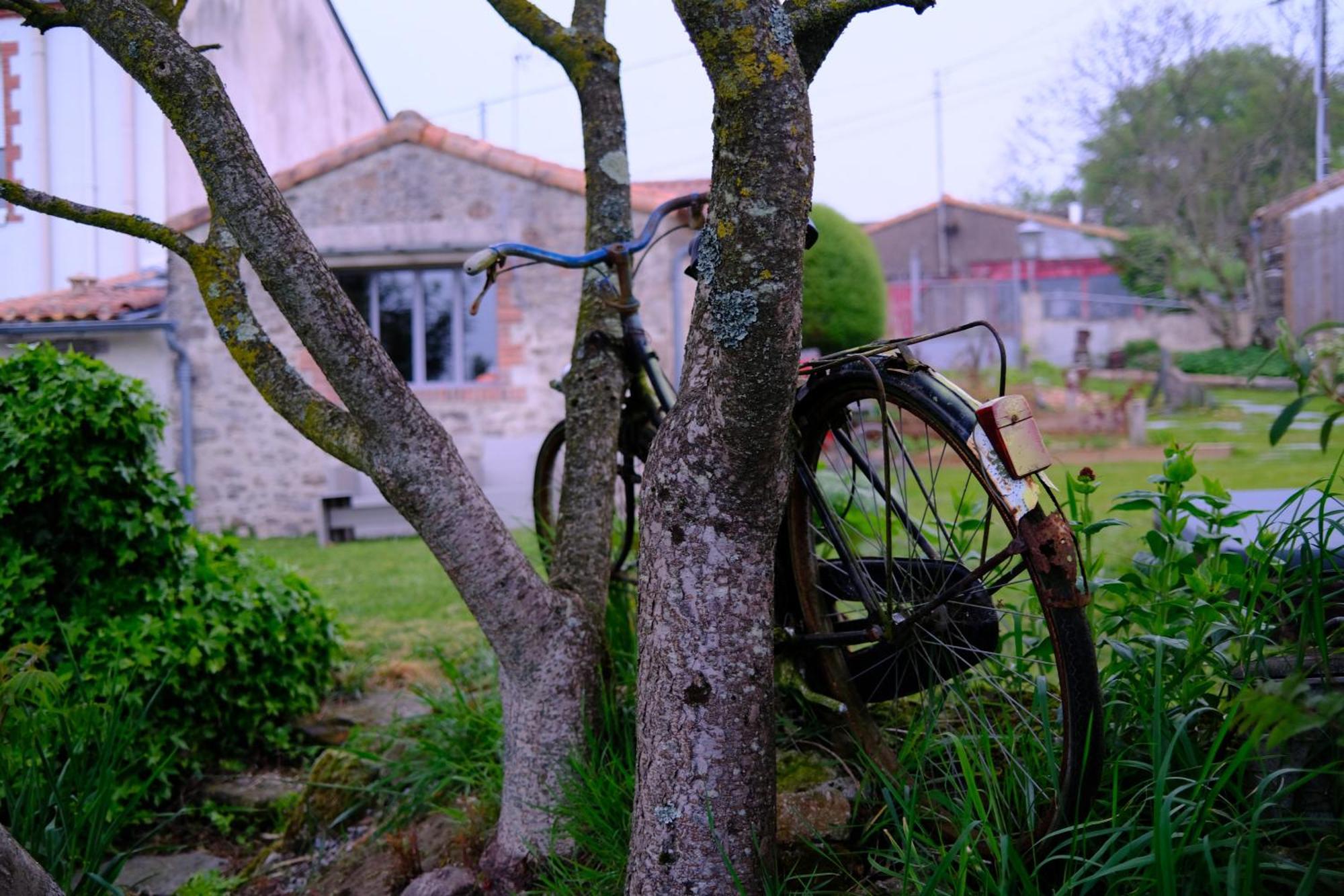 Les Chambres De La Forge Des Collines Les Herbiers Esterno foto